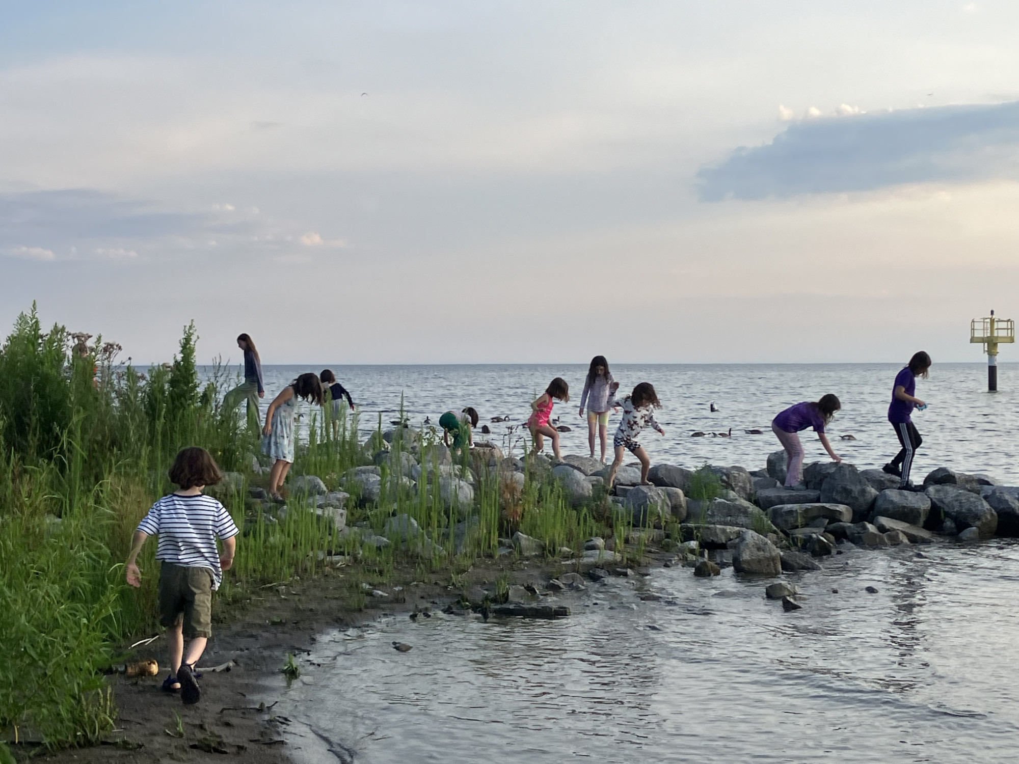 MOTHRA particpants on beach